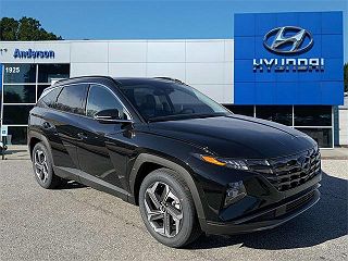 2024 Hyundai Tucson Limited Edition 5NMJE3DE3RH370188 in Anderson, SC 1