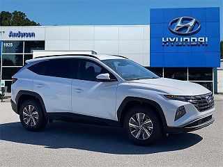 2024 Hyundai Tucson Blue VIN: KM8JBCD10RU201594