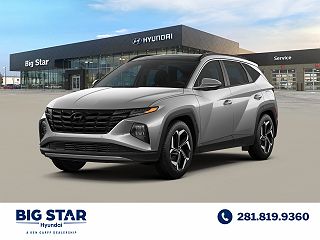 2024 Hyundai Tucson Limited Edition VIN: 5NMJE3DE3RH409913