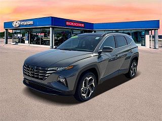 2024 Hyundai Tucson Limited Edition VIN: 5NMJECDE5RH395187