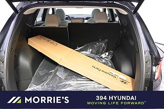 2024 Hyundai Tucson Limited Edition 5NMJECDEXRH369958 in Minneapolis, MN 19
