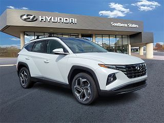 2024 Hyundai Tucson Limited Edition VIN: 5NMJECDE4RH393138