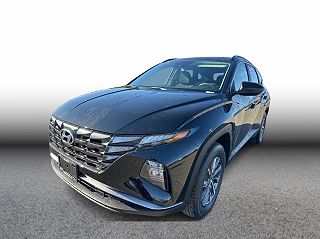 2024 Hyundai Tucson Blue VIN: KM8JBCD17RU204914