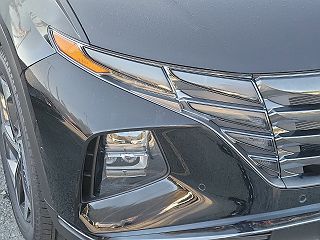 2024 Hyundai Tucson Limited Edition 5NMJECDE6RH319753 in Scranton, PA 5