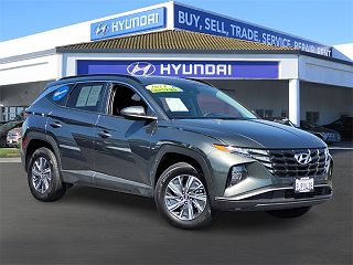 2024 Hyundai Tucson Blue VIN: KM8JBCD13RU161494