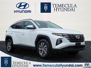 2024 Hyundai Tucson Blue KM8JBCD1XRU205989 in Temecula, CA 1