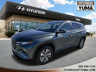 2024 Hyundai Tucson Blue VIN: KM8JBCD19RU202923